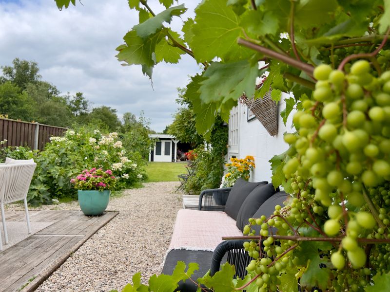 Terras bij Huisje op de Dijk